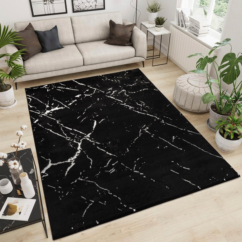 Ebro Rugs 6&